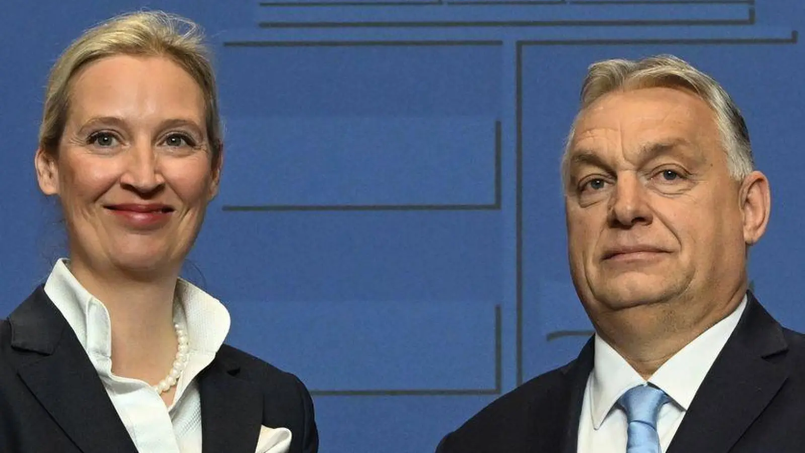 AfD-Chefin Alice Weidel und der ungarische Ministerpräsident, Viktor Orban, trafen sich im Februar in Budapest. (Archivfoto) (Foto: Szilard Koszticsak/MTI/AP/dpa)