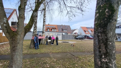 Mehrere Anwohner wollen verhindern, dass Bäume auf dem Spielplatz zwischen der Bürgermeister-Fleischmann- und der Lehenfeldstraße gefällt werden. Sie sind der Ansicht, dass ein Rückschnitt genügt und kritisieren, dass sie in die Entscheidung des Bauausschusses nicht eingebunden wurden. (Foto: Albert Schülein)