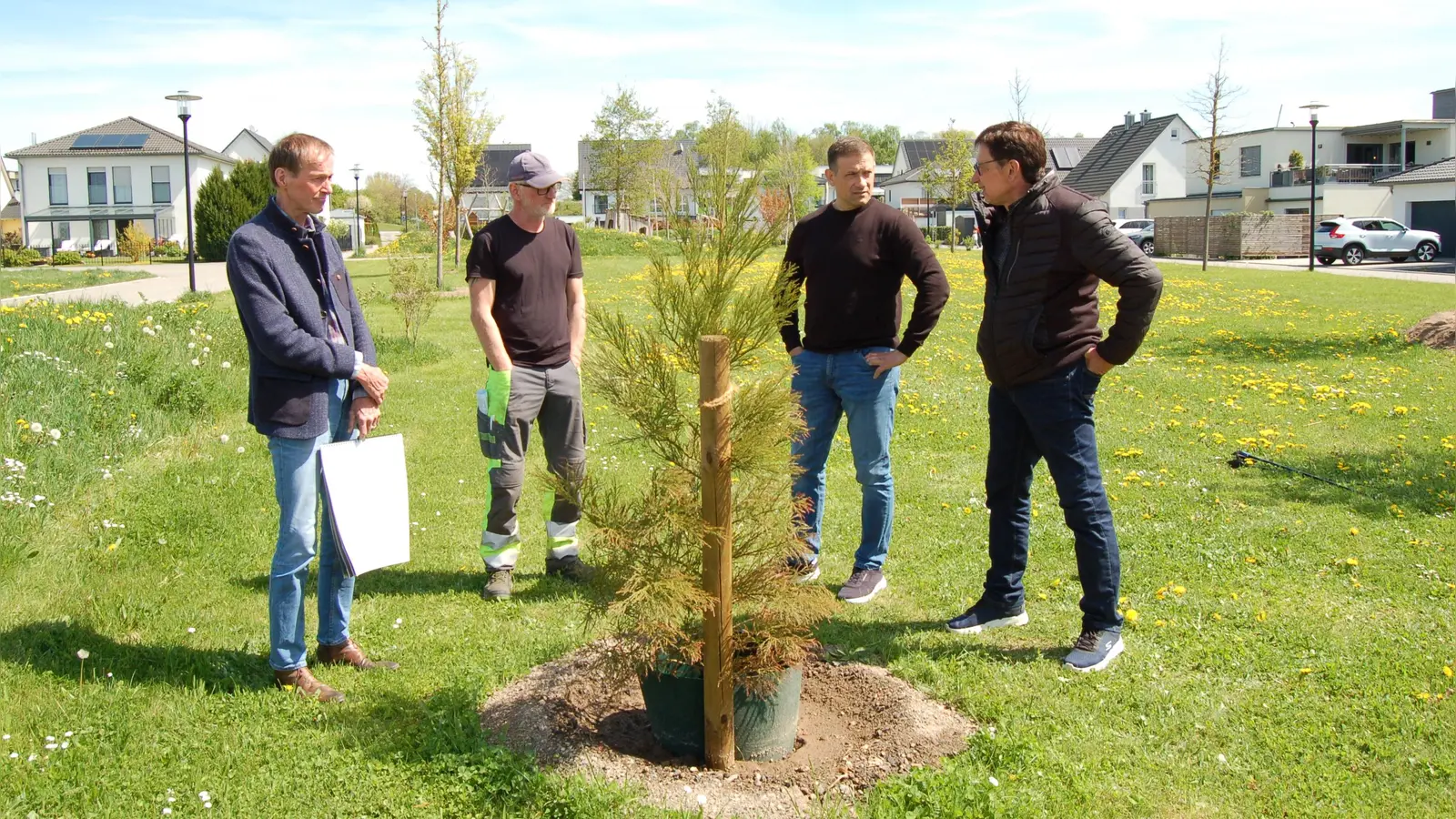 Freuten sich über den Mammutbaum: Über die Pflanzung informierten (von links) OB Dr. Christoph Hammer, Baumkontrolleur Thomas Walter, Bauhofleiter Tobias Wittmann und Martin Stiegeler.