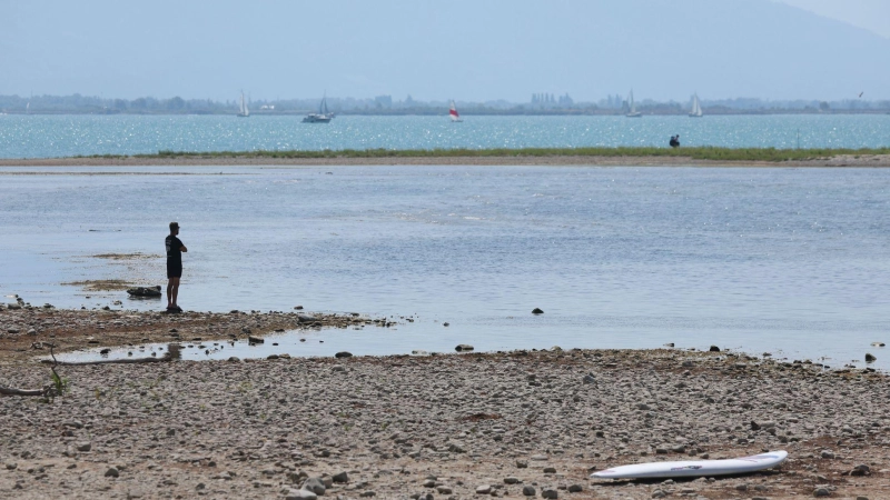 Es bleibt heiß in Bayern: Ein Mann steht am trockenen Ufer des Bodensees neben einem Surfboard. (Archivbild) (Foto: Karl-Josef Hildenbrand/dpa)