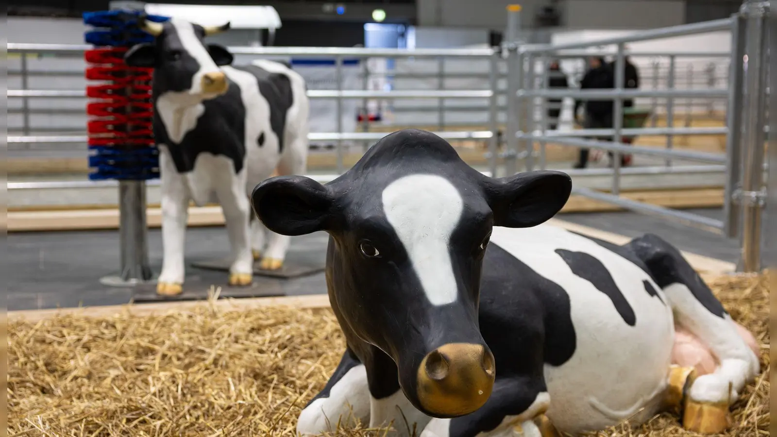 Wegen eines Falls von Maul- und Klauenseuche in Brandenburg waren etliche Tiere dieses Jahr nicht auf der Grünen Messe vertreten - oder eben nur als Attrappe. (Archivbild) (Foto: Hannes P Albert/dpa)