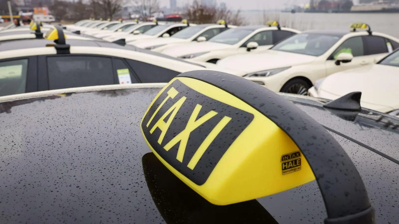 FreeNow konzentriert sich auf das Geschäft mit Taxis und erreicht damit die Gewinnzone. (Foto: Christian Charisius/dpa)