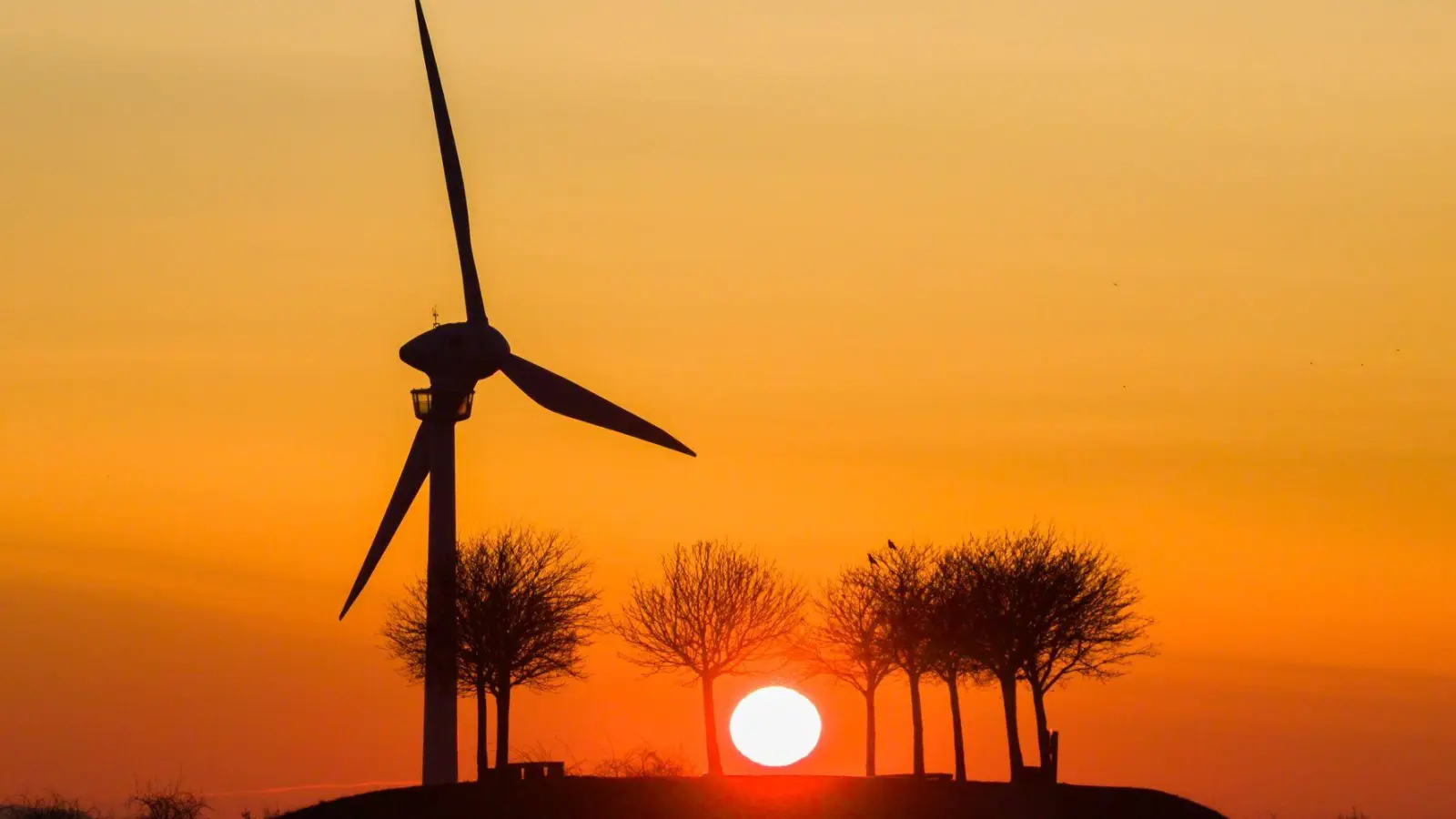 Der Umstieg von fossilen auf erneuerbare Energien ist ein Thema beim Petersberger Klimadialog. (Archivbild) (Foto: Julian Stratenschulte/dpa)