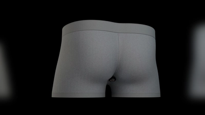 Modell der smarten Unterhose (Foto: Brantley Hall/University of Maryland/dpa)