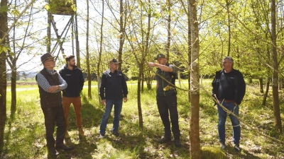 Im „schönen Durcheinander“ gedeihen die Bäume prächtig, stellten Manfred Hartnagel, David Lindörfer, Richard Edelmann, Stefan Nestle und Martin Gögelein (von links) fest. (Foto: Peter Tippl)