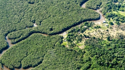 Der Amazonas-Regenwald wird als „grüne Lunge der Erde“ bezeichnet, weil er große Mengen Kohlendioxid absorbiert und Sauerstoff produziert. (Archivbild) (Foto: Jens Büttner/dpa)