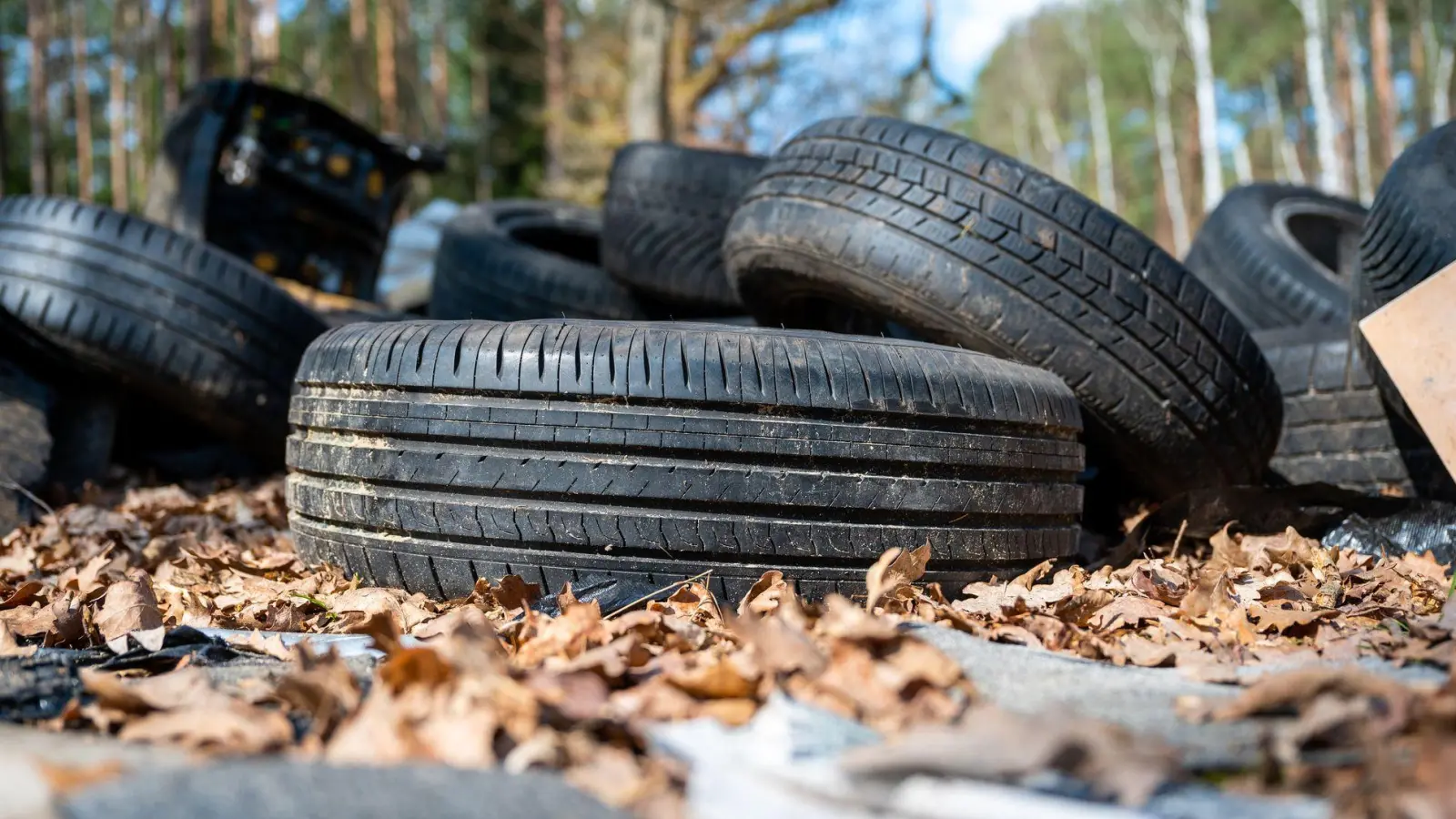 Illegal entsorgter Müll im Wald ist aus Sicht von Umweltschützern ein Problem - gelöst ist es längst noch nicht (Symbolbild). (Foto: Philipp Schulze/dpa)