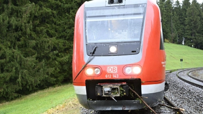 Der entgleiste Zug stand auf der Strecke. (Foto: David Pichler/swd-medien/dpa)