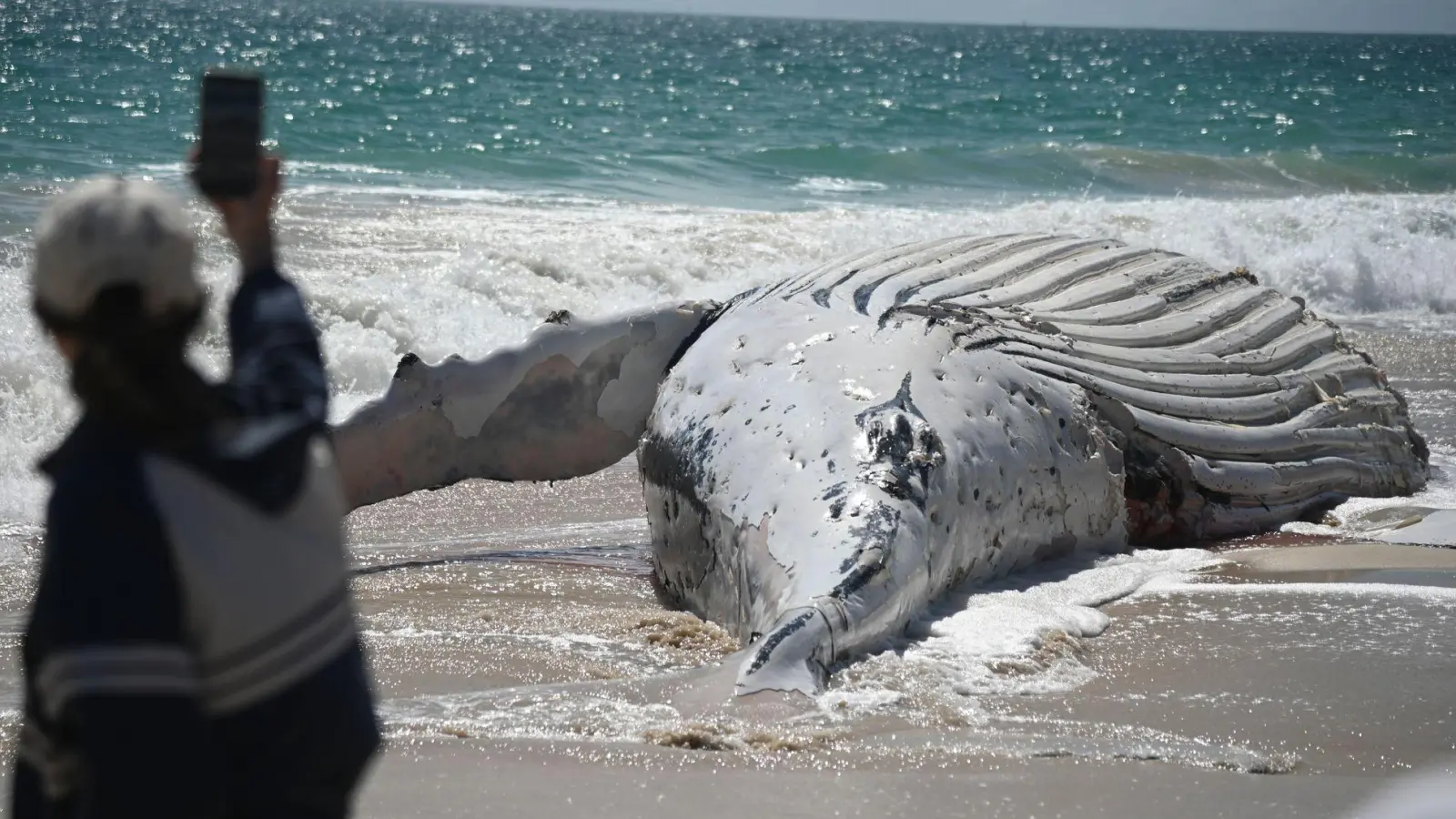 Der City Beach in Perth bleibt vorläufig für Badegäste geschlossen. (Foto: Aaron Bunch/AAP/dpa)