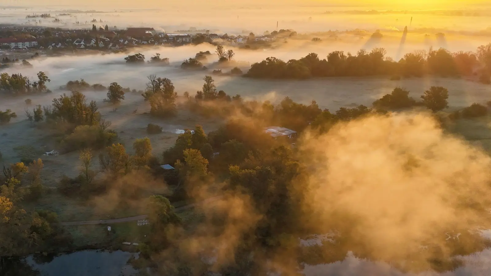 Nebel ist typisch für den Herbst. (Symbolbild)  (Foto: Peter Gercke/zb Regio/dpa)
