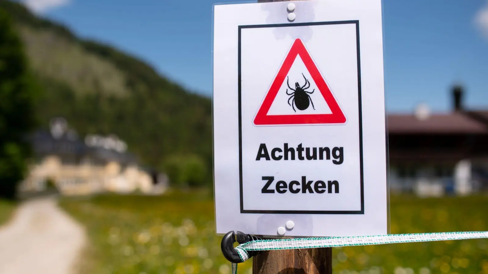 Ein Zecken-Warnschild in einem Wandergebiet in Oberbayern. (Archivbild) (Foto: Sven Hoppe/dpa)