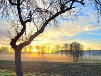 Die Sonne kämpft sich durch - gesehen in Lohr (Foto: Heinz Schopf)