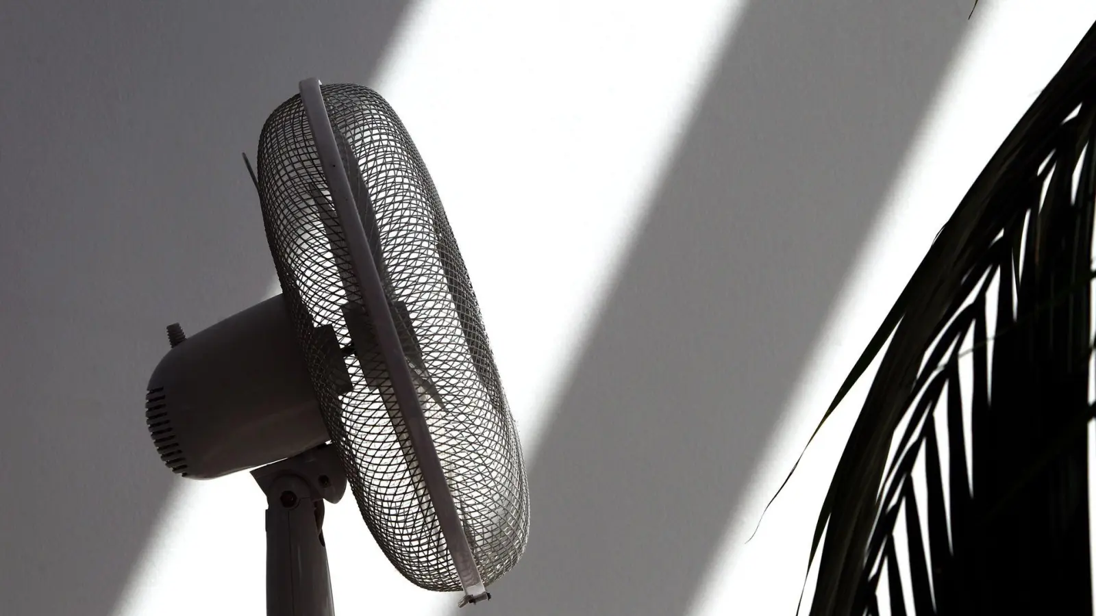 Ventilatoren sorgen an heißen Tagen für eine kühle Brise auf der Haut. (Foto: Karl-Josef Hildenbrand/dpa/dpa-tmn)