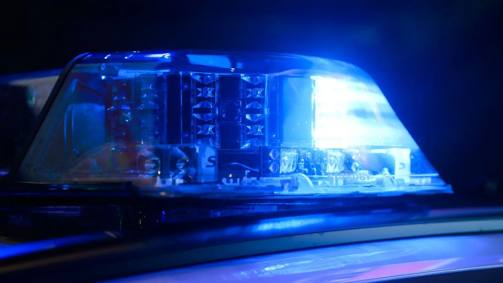 Einsatzkräfte konnten das erschöpfte aber unverletzte Tier einfangen. (Symbolbild) (Foto: Julian Stratenschulte/dpa)