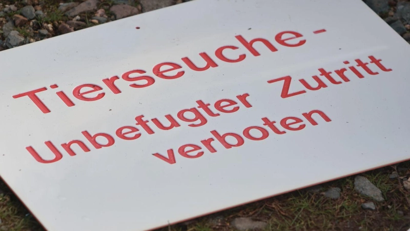 Es wurde eine Schutzzone im Umkreis von drei Kilometern errichtet. (Symbolbild).  (Foto: Matthias Bein/dpa)