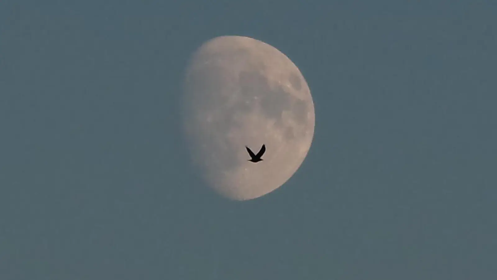 Nachtflug - gesehen in Dietersheim (Foto: Micheal Wolf)