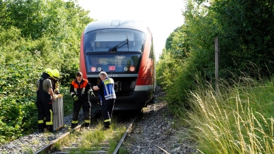 Zu einem Bahnunfall ist es am Donnerstag gegen 16 Uhr an der Strecke von Steinach nach Rothenburg gekommen.  (Foto: Simone Hedler)