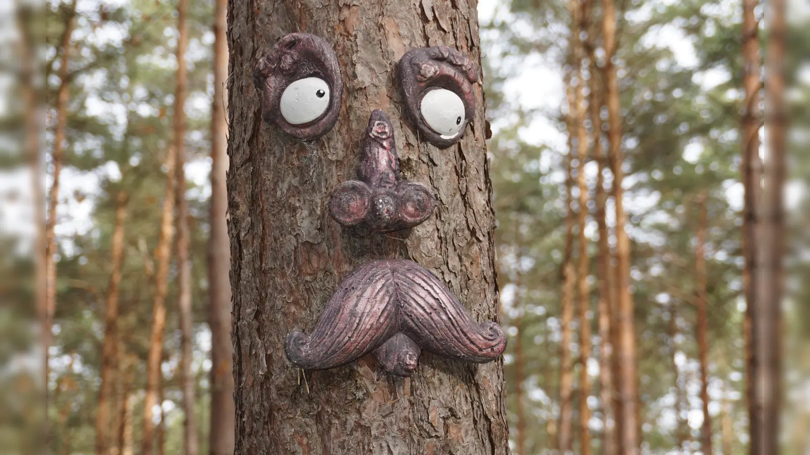 Geheimnisvoll: Selbst manche Bäume haben im Kinderwald ein Gesicht. (Foto: Andrea Walke)