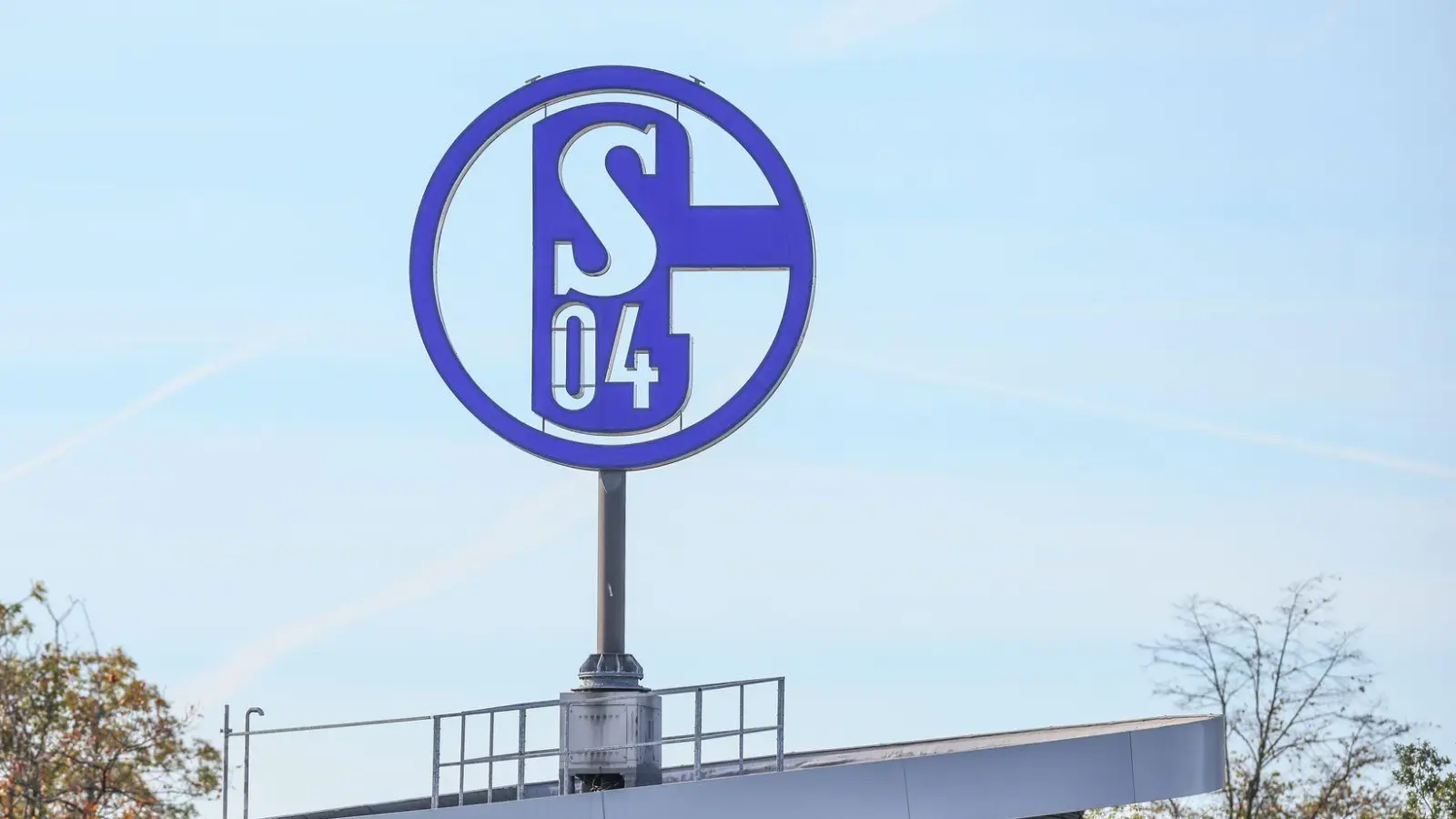 Der FC Schalke 04 will eine Genossenschaft gründen. (Foto: Tim Rehbein/dpa)