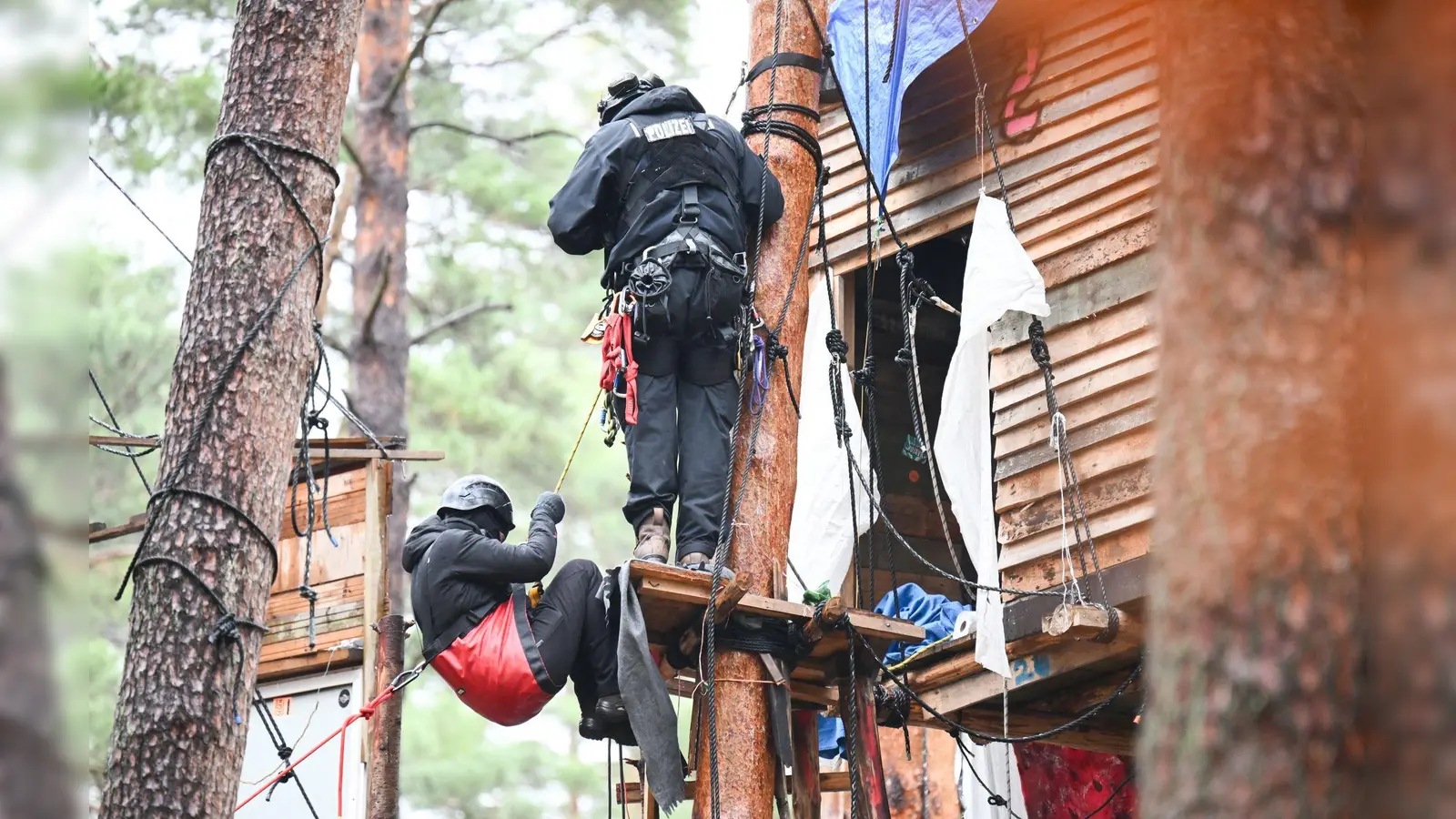 Höhenretter der Polizei sind bei der Räumung des Protestcamps der Tesla-Gegner an einem Baumhaus im Einsatz. (Foto: Sebastian Christoph Gollnow/dpa)