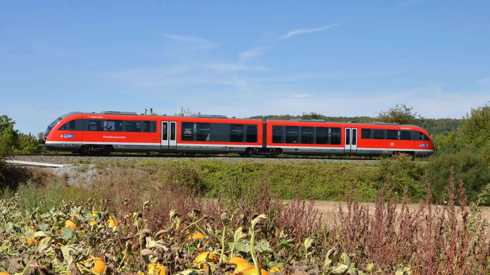 Ein Zug der Baureihe 642 im Dieselnetz Nürnberg (hier bei Neustadt/Aisch): Ist der Triebwagen-Typ das Problem? (Foto: Johannes Hirschlach)