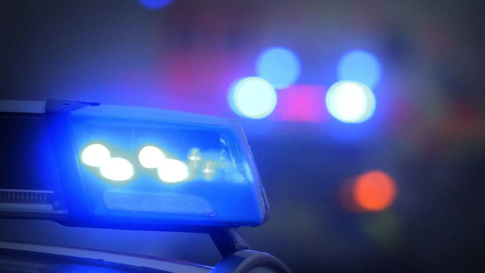 Polizisten hatten die Leiche Anfang Februar bei der Durchsuchung eines Hauses gefunden. (Symbolbild) (Foto: Karl-Josef Hildenbrand/dpa)