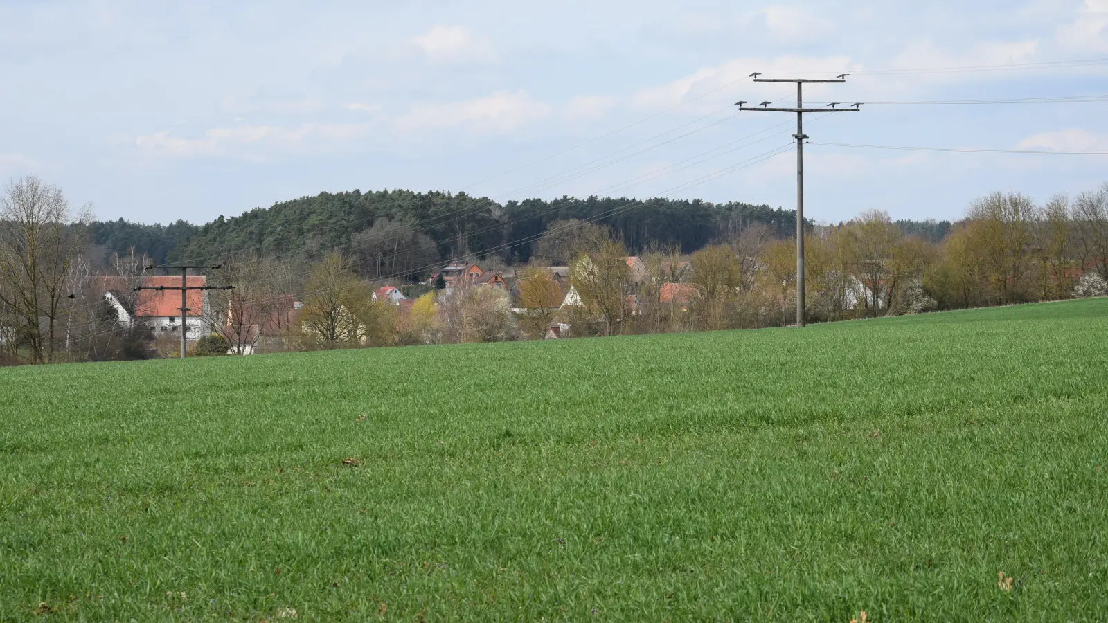 Weil andernorts kein Platz ist beziehungsweise die Eigentümer nicht verkaufen wollen, muss die Gemeinde für ein neues Gewerbegebiet auf die grüne Wiese bei Aich ausweichen. (Foto: Florian Schwab)