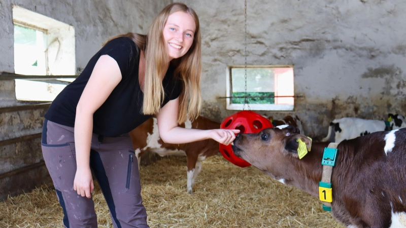 Bei den Kälbern könnte Laura Schneider ganze Tage verbringen. (Foto: Antonia Müller)