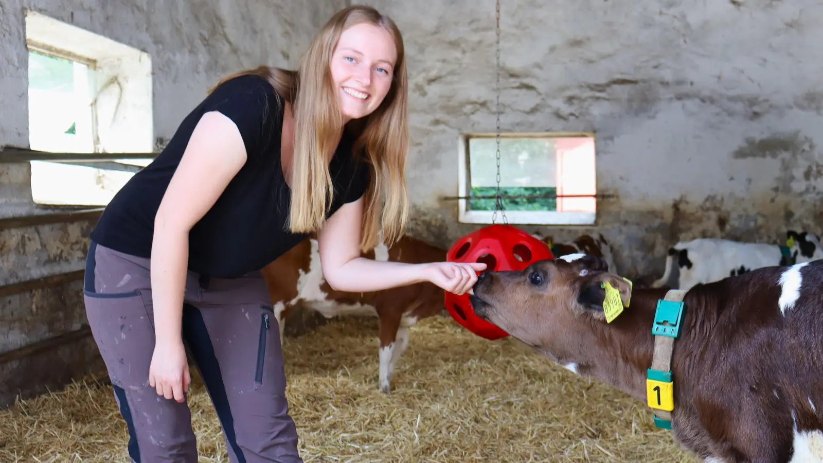 Bei den Kälbern könnte Laura Schneider ganze Tage verbringen. (Foto: Antonia Müller)