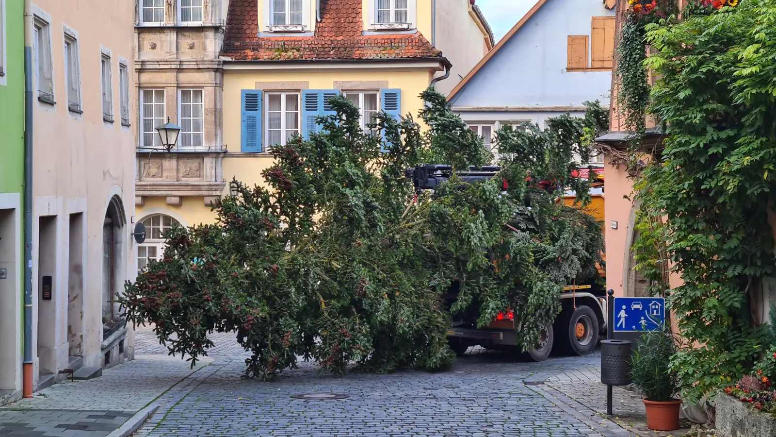 Der Baum an der Ecke Wenggasse und Untere Schmiedgasse auf dem Weg zum Marktplatz. (Foto: Margit Schwandt)