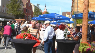Besucherinnen und Besucher dürfen sich auf ein tolles Programm freuen.  (Foto: Peter Tippl)