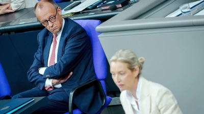 Merz und Weidel liefern sich einen heftigen Schlagabtausch.  (Foto: Kay Nietfeld/dpa)