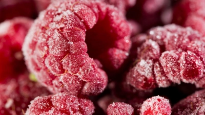 Um eventuelle Keime abzutöten, empfiehlt es sich, Tiefkühlbeeren vor dem Verzehr für einige Minuten bei 90 Grad zu erhitzen.  (Foto: Franziska Gabbert/dpa-tmn)