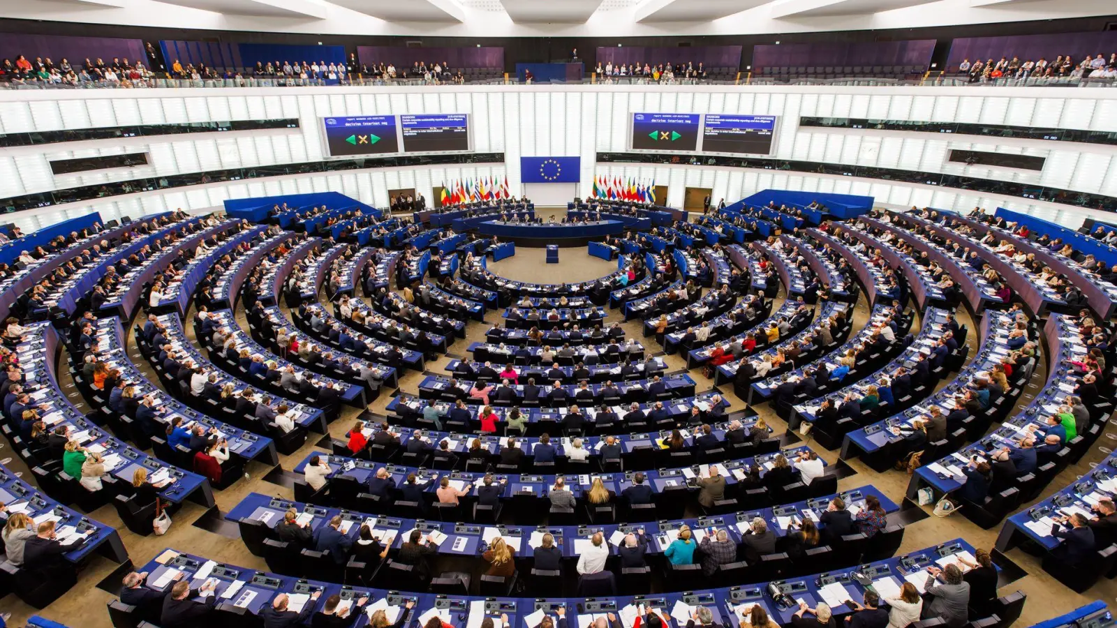 Grünes Licht vom EU-Parlament für „Return Hubs“ außerhalb Europas. (Archivbild) (Foto: Philipp von Ditfurth/dpa)