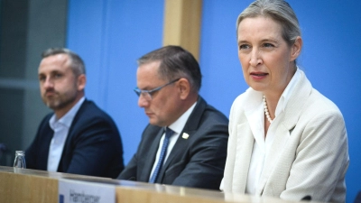 Will gegen irreguläre Migration vorgehen: AfD-Co-Chefin Alice Weidel. (Foto: Bernd von Jutrczenka/dpa)