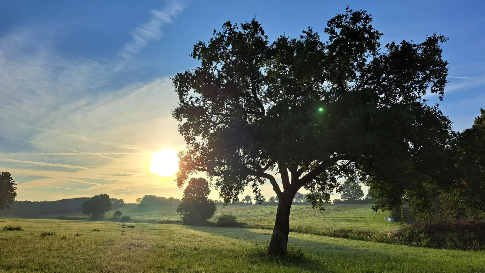 Sommersonne am Morgen - gesehen bei Dorfkemmathen. (Foto: Tanja Karl)