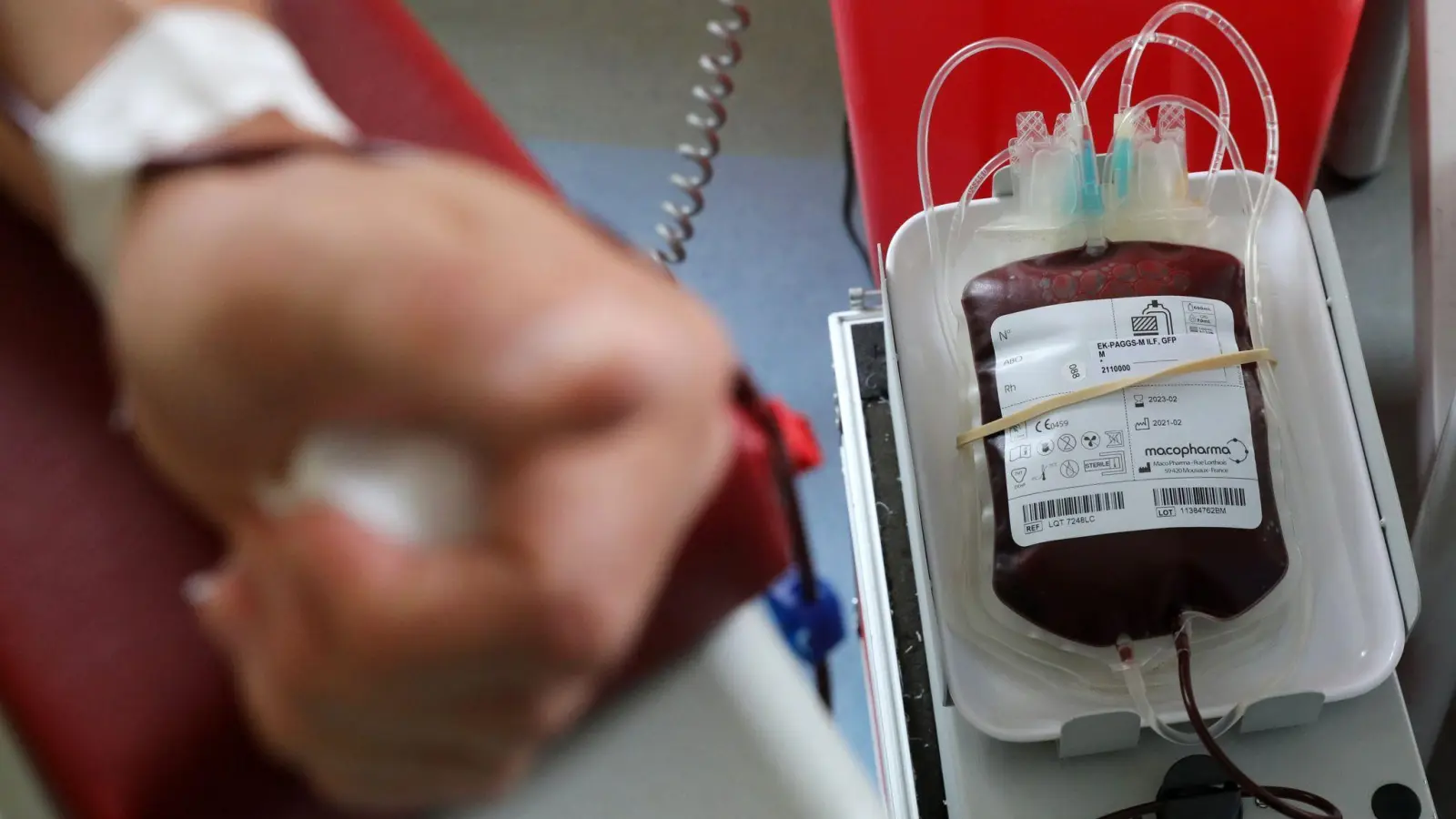 Rund ein halber Liter Blut wird bei einer Vollblutspende entnommen. (Foto: Bernd Wüstneck/dpa-Zentralbild/dpa-tmn)