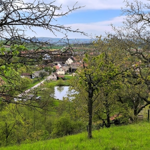 Dorf im Frühlingskleid - gesehen in Beerbach<br><br> (Foto: Ingrid Weis)