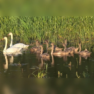 Familienausflug - gesehen bei Feuchtwangen (Foto: Walter Weihermann)