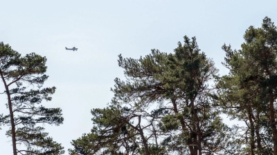 Aufgrund erhöhter Waldbrandgefahr plant die Niederbayerische Regierung in dieser Woche sechs Flüge zur Luftbeobachtung. (Symbolbild) (Foto: Pia Bayer/dpa)