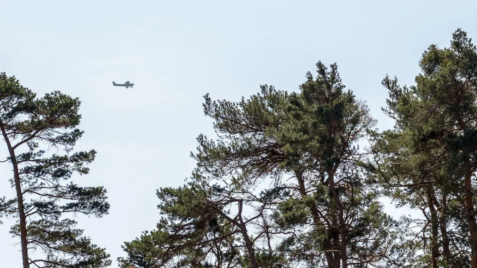 Aufgrund erhöhter Waldbrandgefahr plant die Niederbayerische Regierung in dieser Woche sechs Flüge zur Luftbeobachtung. (Symbolbild) (Foto: Pia Bayer/dpa)
