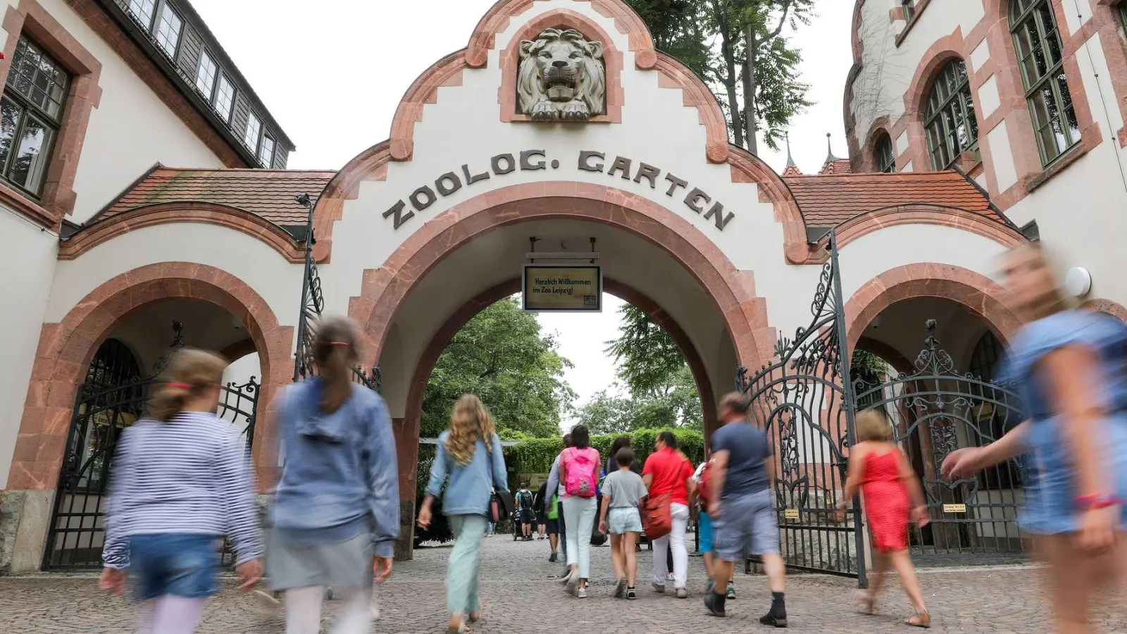 Der Leipziger Zoo hat drei Tigerbabys eingeschläfert. (Archivbild) (Foto: Jan Woitas/dpa-Zentralbild/ZB)