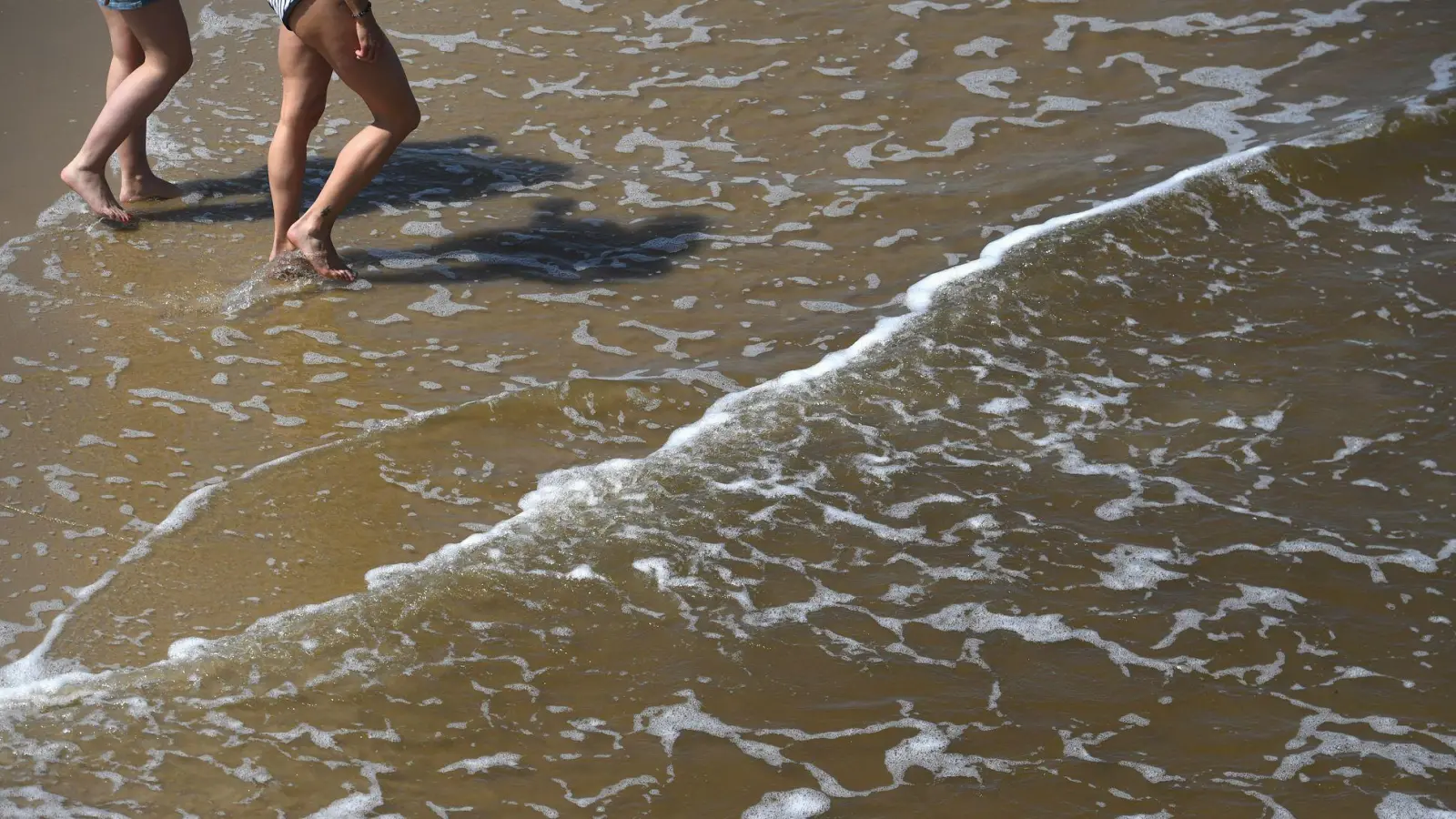 In der Ostsee wurden auch in diesem Sommer bereits Vibrionen nachgewiesen. (Foto: Stefan Sauer/dpa/dpa-tmn)