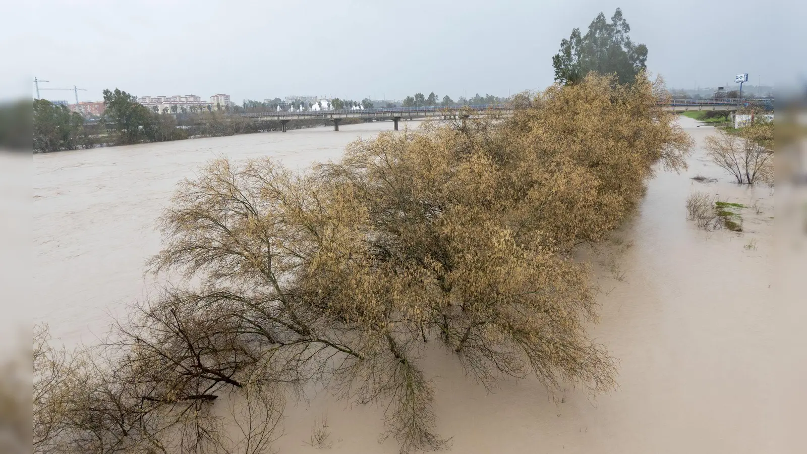 Am Samstag hatte das Sturmtief „Marta” zahlreiche Flüsse wie hier den Guadalquivir in Andalusien über die Ufer treten lassen. Es war bereits der siebte Atlantiksturm seit Jahresbeginn, der über Portugal und Spanien hinwegzog. (Foto: Eduardo Briones/EUROPA PRESS/dpa)