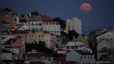 Nach der Mutter wurde nicht nur in Portugal fieberhaft gesucht. Nach der Festnahme wurden sie und der Stiefvater in Untersuchungshaft genommen. (Symbolbild) (Foto: Armando Franca/AP/dpa)
