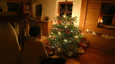 Weihnachtszimmer schmücken - für manche Leute gehört der Christbaum einfach dazu. (Foto: Karl-Josef Hildenbrand/dpa-tmn)