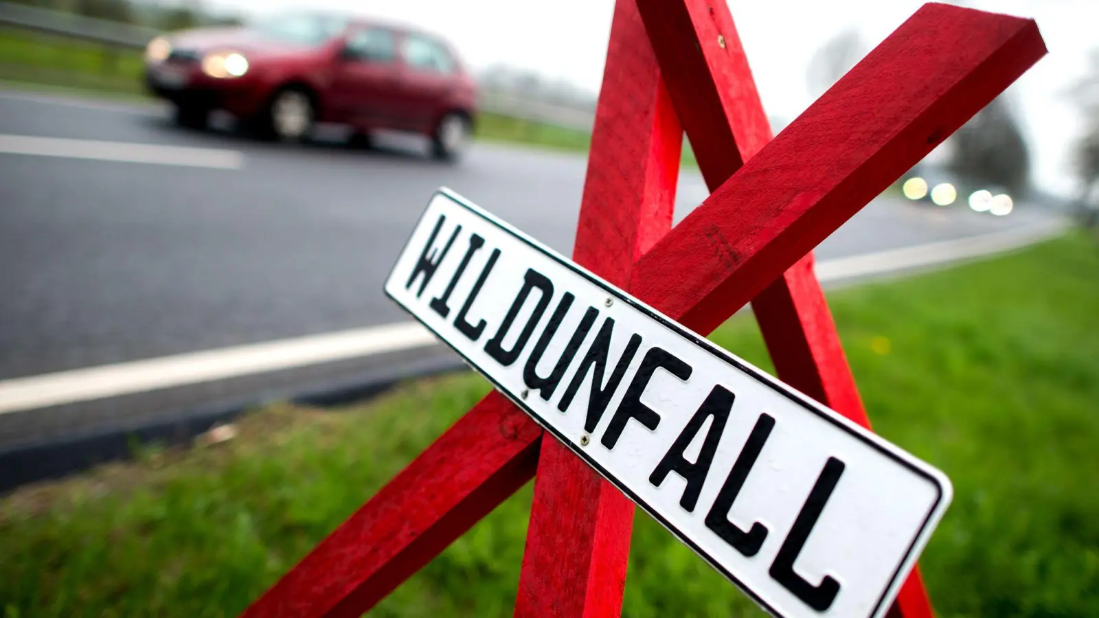 Ein Warnschild an der Stelle eines Wildunfalls in Deutschland. (Symbolbild)  (Foto: Hauke-Christian Dittrich/dpa)