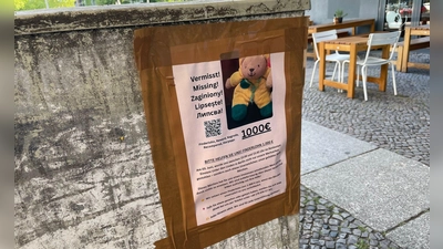 Neben den Plakaten auf Deutsch bittet auch ein eigener Webauftritt auf Englisch, Polnisch, Rumänisch und Bulgarisch um Hinweise zu dem gestohlenen Plüschtier. (Foto: Christof Bock/dpa)