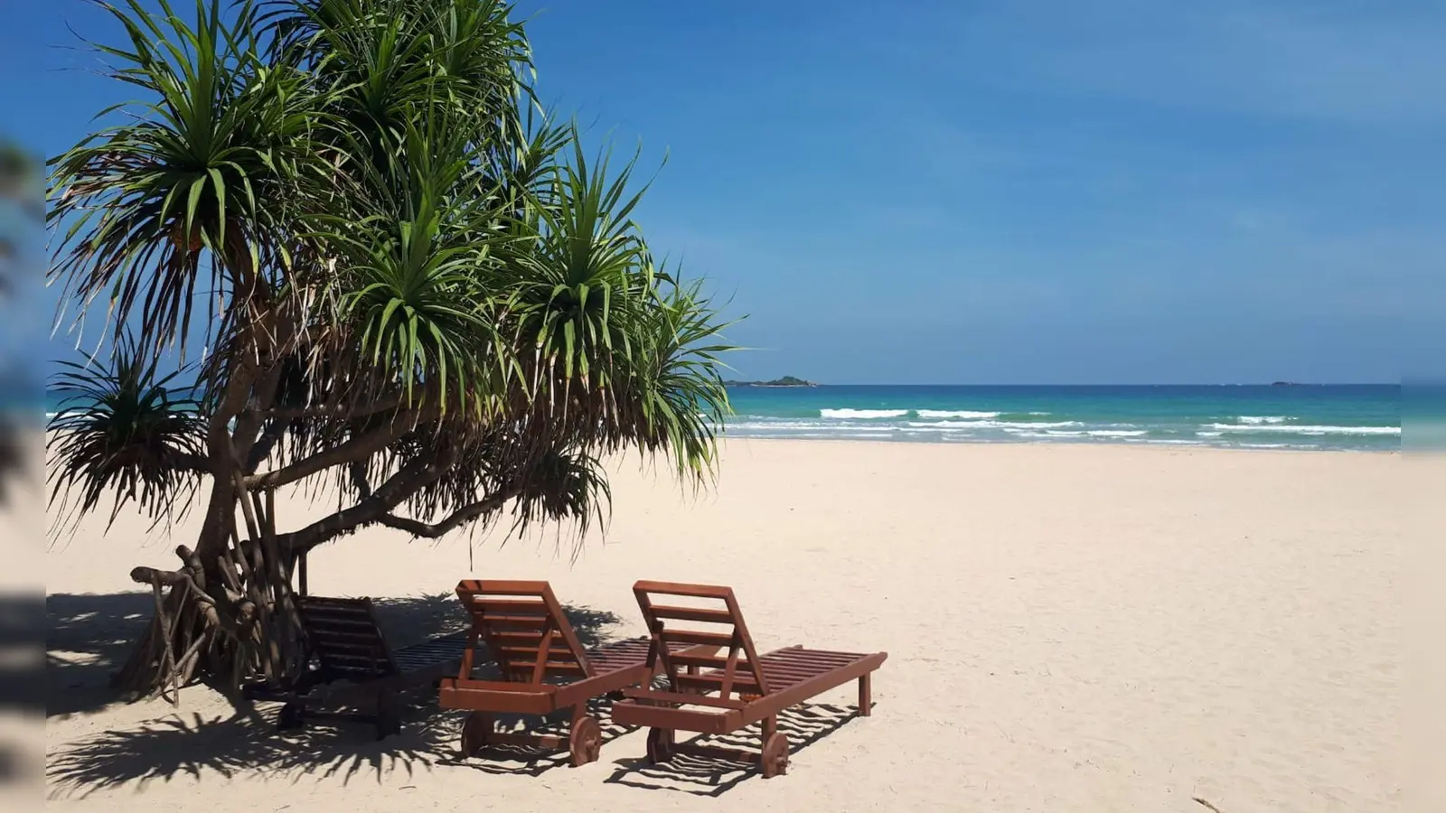 Um Urlaub in Sri Lanka zu machen, ist ein Visum erforderlich. Es empfiehlt sich, das Visum schon vorher online zu beantragen. (Foto: Nathalie Helene Rippich/dpa-tmn)