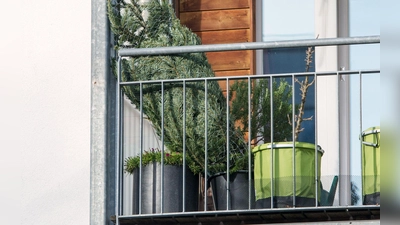 Aufrecht stehend im Netz und draußen lagert der Weihnachtsbaum am besten bis zum Fest. (Foto: Tobias Hase/dpa-tmn)